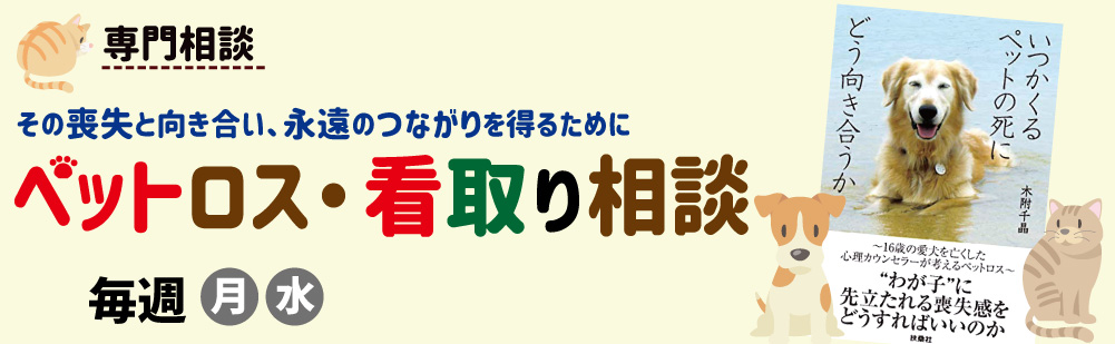 ペットロス 看取り相談 子ども おとな 家族の総合相談池袋カウンセリングルーム